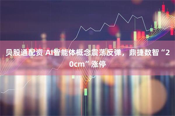 贝股通配资 AI智能体概念震荡反弹，鼎捷数智“20cm”涨停