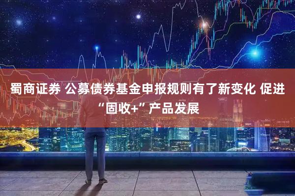 蜀商证券 公募债券基金申报规则有了新变化 促进“固收+”产品发展